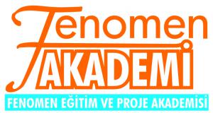 Fenomen Akademi