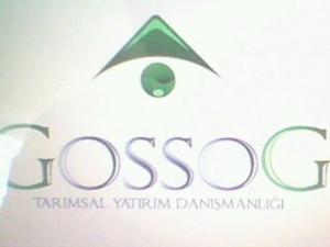 Gossog Danışmanlık