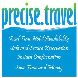 Precıse Travel