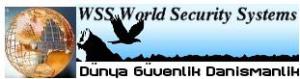 World Security Systems